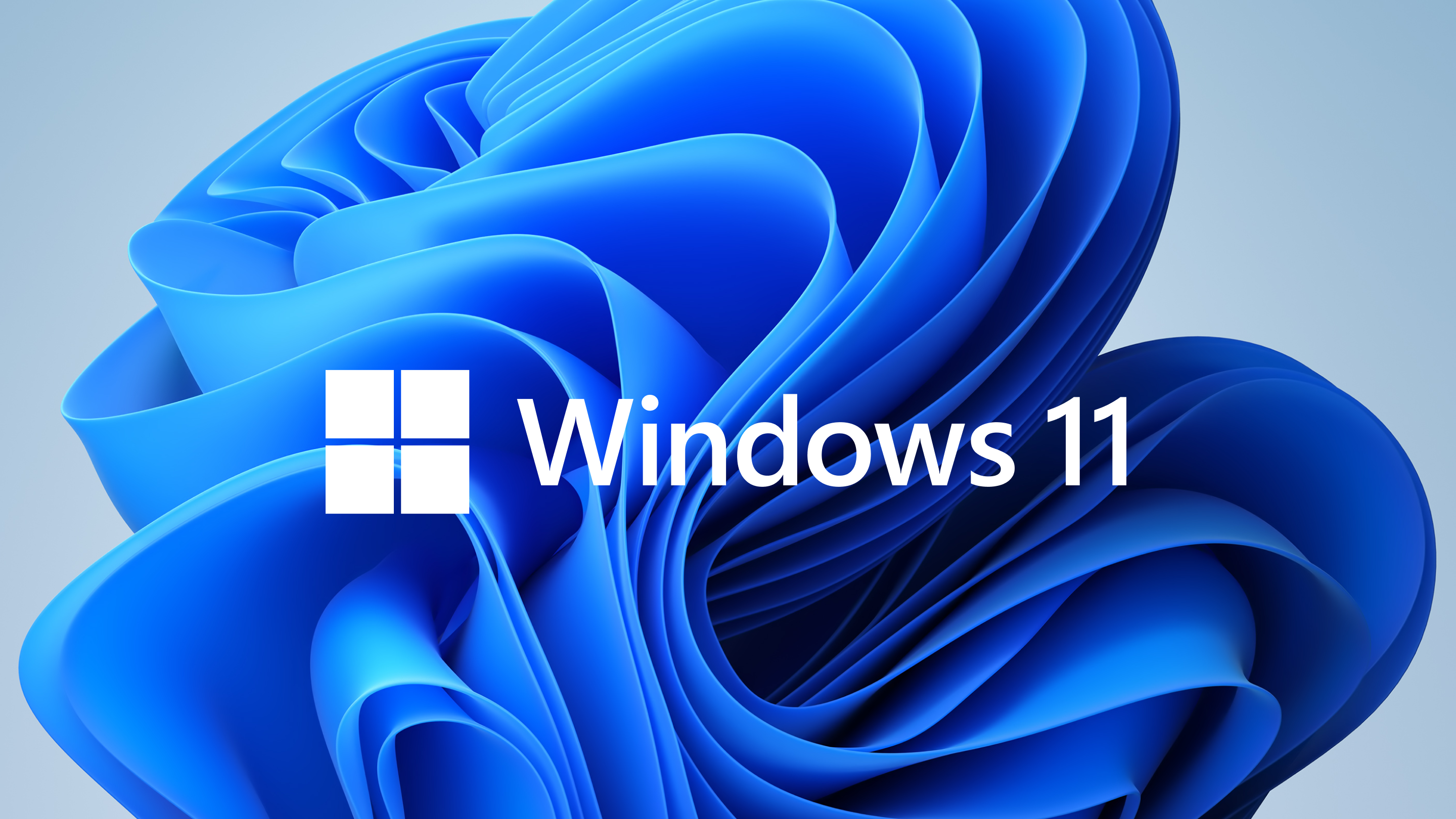 Windows 11: все полимеры просраны